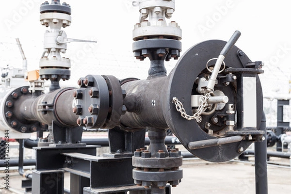 Fototapeta Pig receiver and valve construction for oil and gas production process