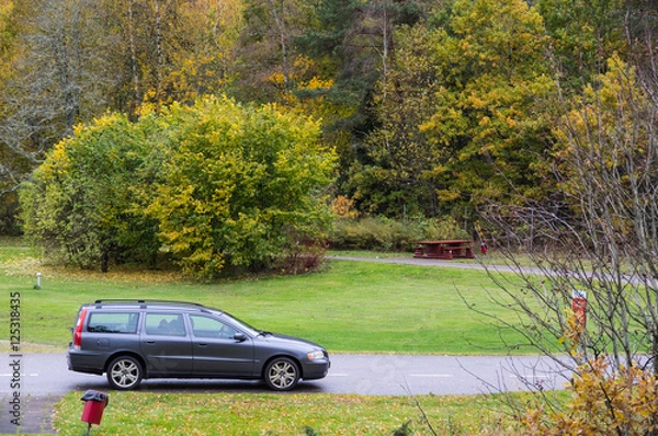Obraz Bilen på rastplatsen
