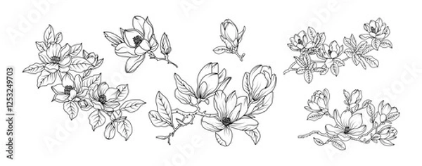 Obraz Magnolia flower arrangement line art on white background. Silhouette magnolia botanical hand drawn element for wedding, invitation frame design, vector illustration