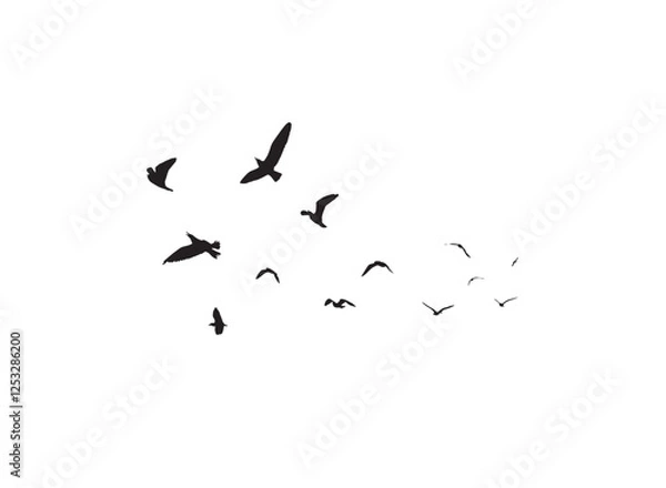 Fototapeta A flock of flying birds silhouettes in the white background. Wild Birds flying vector illustration.