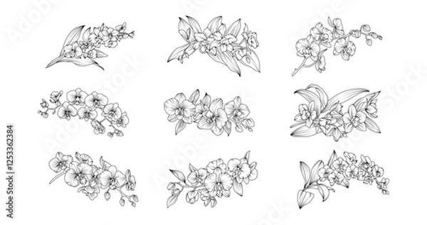 Obraz Orchid flower arrangement line art on white background. Silhouette orchid botanical hand drawn element for wedding, invitation frame design, vector illustration