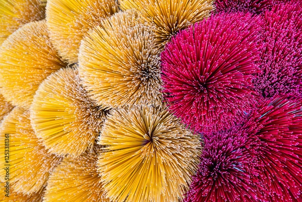 Fototapeta Close-up of drying incense sticks