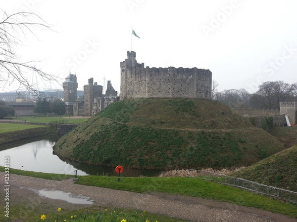 Obraz Chateau de Cardif catapulte
