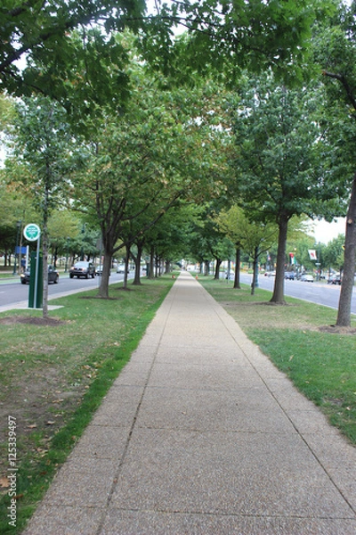 Obraz Chemin arboré