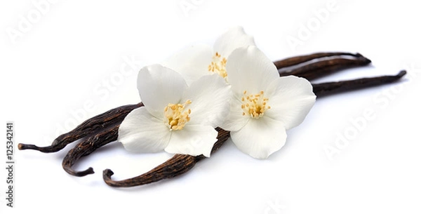 Obraz Waniliowe patyki z kwiatami