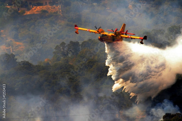 Obraz Canadair
