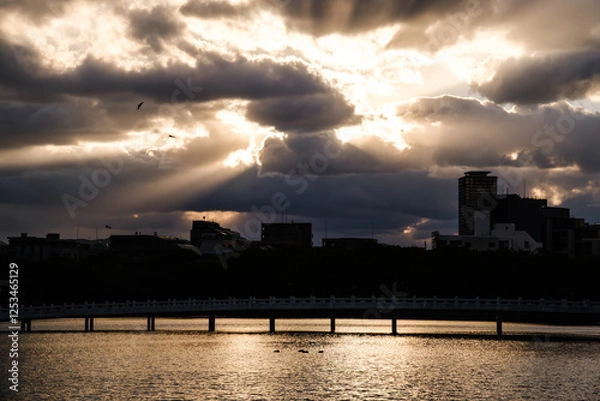 Obraz 福岡大濠公園の夕景