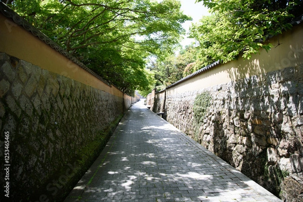 Obraz 歴史ある塀のある通り