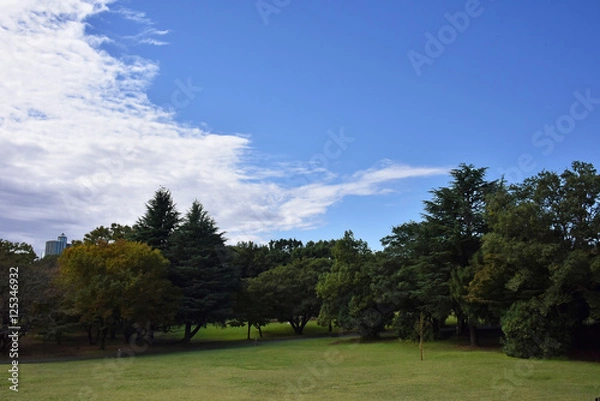 Fototapeta 公園