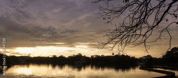Obraz Tree and sunset.