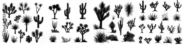 Fototapeta A large group of black outlines depicting cacti, agaves, a Joshua tree, and prickly pears