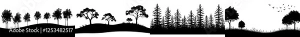 Fototapeta A set of black horizontal silhouettes featuring coniferous treetops, including pine, spruce, and cedar