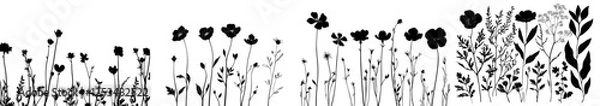 Fototapeta A set of black meadow herbs featuring branches and leaves, designed with floral elements in a modern illustration style