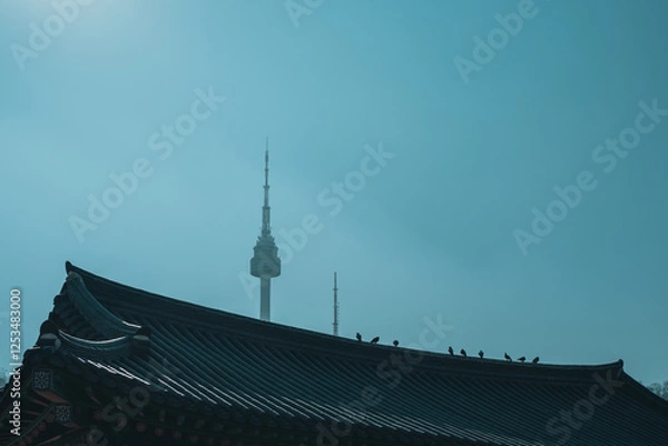 Obraz 남산 한옥 마을에서 보는 전경