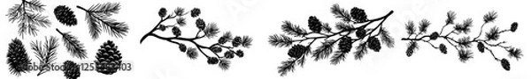Fototapeta A collection of shadowy cone shapes, pine branches, and cedar limbs
