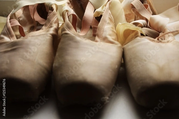 Obraz Canvas Pointe shoes