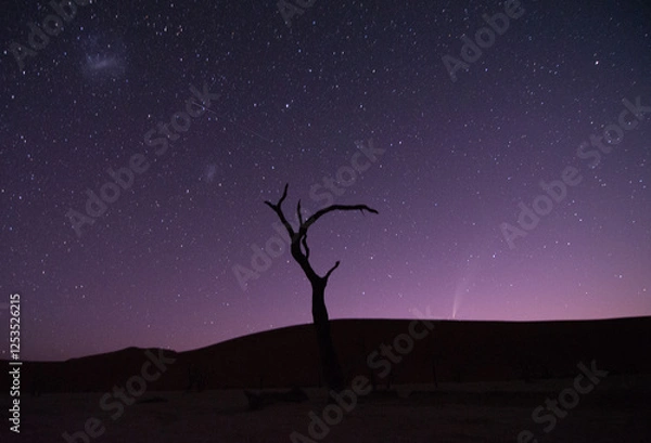 Fototapeta Kometa Atlas c/2024 G3 oraz obłoki Magellana uchwycone na wieczornym niebie z Deadvlei w Namibii
