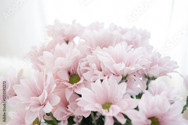 Fototapeta rose flowers bouquet  - macro with blur and depth