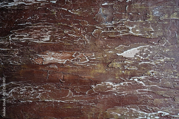 Obraz old wood texture