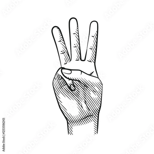 Fototapeta Vector Line Art Hand Gestures Showing Numbers 3. Isolated on White Background