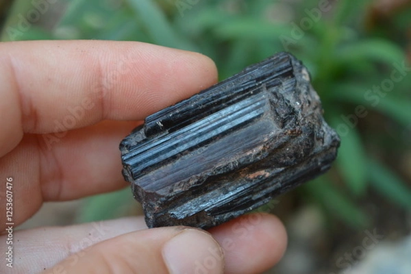 Fototapeta Black tourmaline mineral on collection