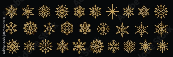 Fototapeta Geometric Snowflake Vector Set
