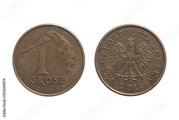 Obraz Coin 1 Grosz 2011. Coin of Poland. Coin 1 grosz 2011 Obverse and Reverse on white background