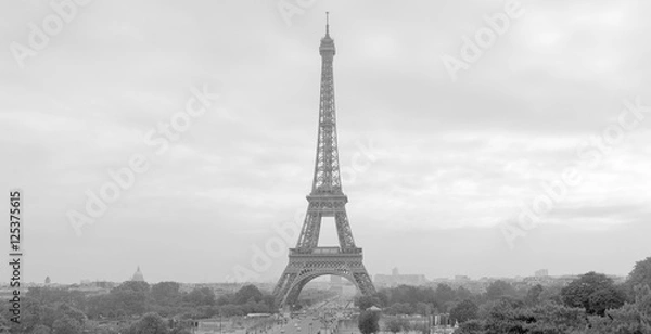 Fototapeta Eiffel Tower