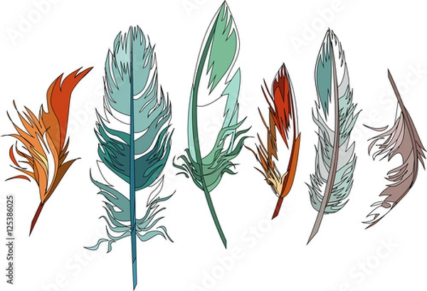Fototapeta Cute colored graphic feathers set. hand drawn vector illustration. boho theme elements