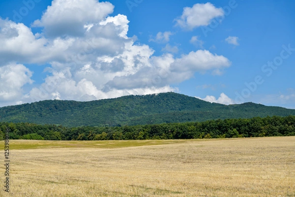 Fototapeta View on Marhat peak in Povazsky Inovec mountains