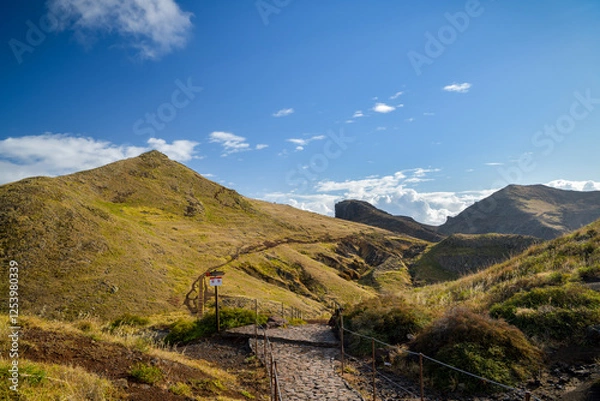 Fototapeta Beginning of Vereda Da Ponta De Sao Lourenco trail in Madeira