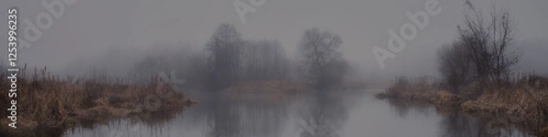 Obraz serene misty natural landscape. river banks with dry reeds and bare trees. calm water with reflection and fog in the evening in damp weather. beautiful panoramic view in 20x5 format