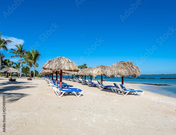Fototapeta palm beach chaise longue