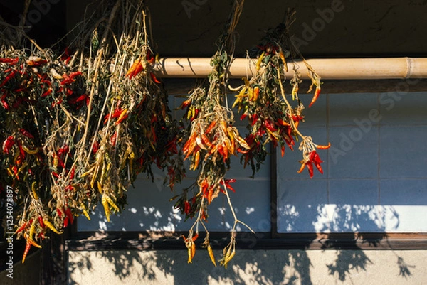 Obraz 日本の古民家の軒先、唐辛子を干す