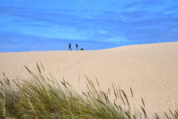 Fototapeta Couple and Pet Explore Dunes