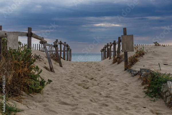 Obraz Beach entrance with wooden fence
