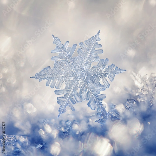 Obraz Crystal Blue Snowflake