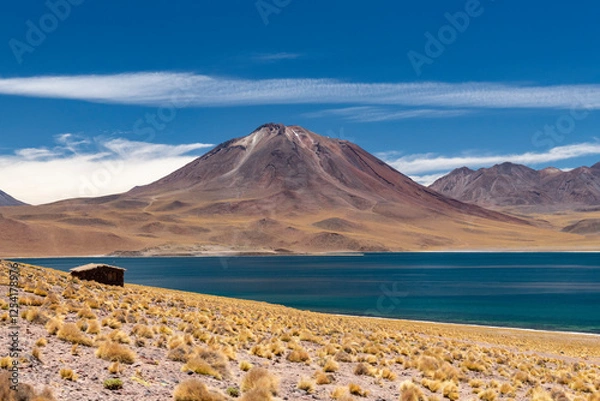 Obraz Shelter near the Miscanti lagoon in the andean mountains