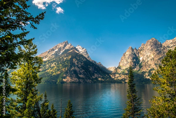 Obraz Jenny Lake