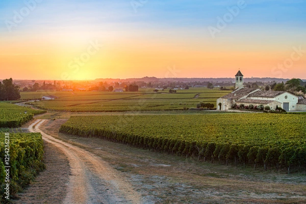 Obraz Sunset over vineyard with a country road and a small chapel in the distance