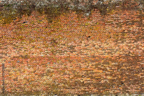 Fototapeta old red-orange brick wall, background texture 9