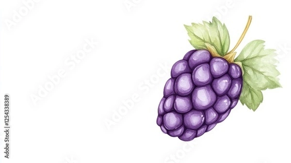 Fototapeta A vibrant, hand-painted illustration of a purple grape cluster with green leaves on a white background
