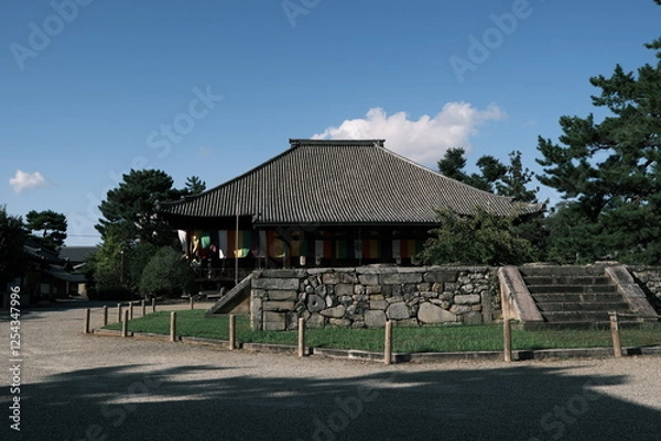 Fototapeta 西大寺本堂と東塔跡