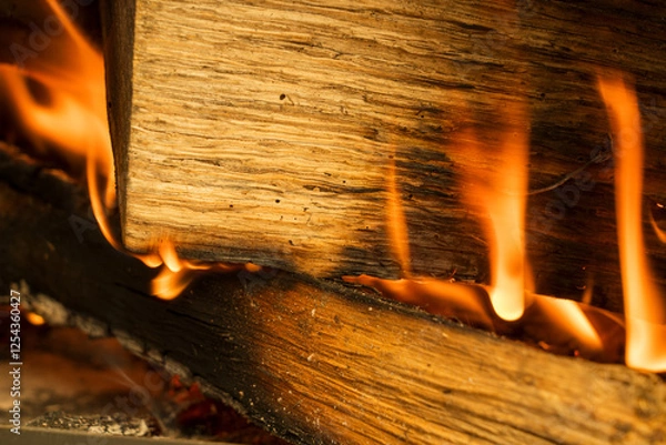 Obraz 炎　焚き火