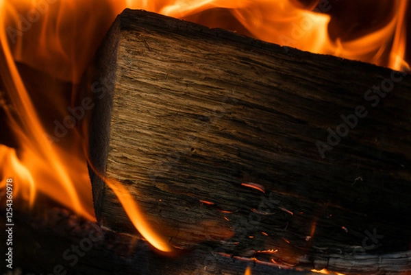 Obraz 炎　焚き火