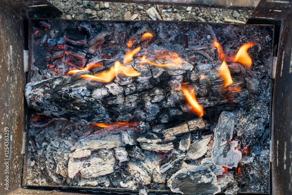 Obraz 熾火　焚き火