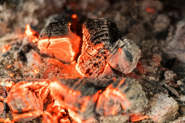 Obraz 熾火　焚き火