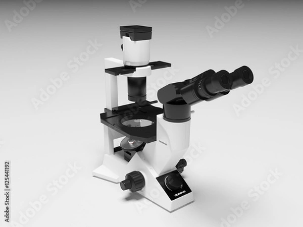 Obraz Microscope