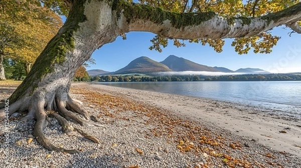 Fototapeta Autumn lake view, tree roots, mountain background, serene landscape, travel poster