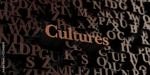Fototapeta Cultures - Wooden 3D rendered letters/message.  Can be used for an online banner ad or a print postcard.